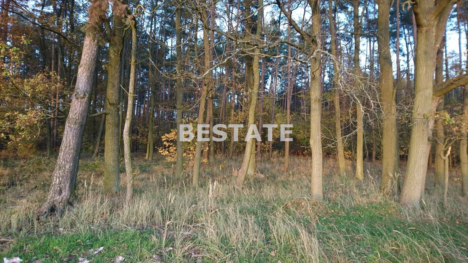 BESW-GS-13837 - zdjęcie nr 3