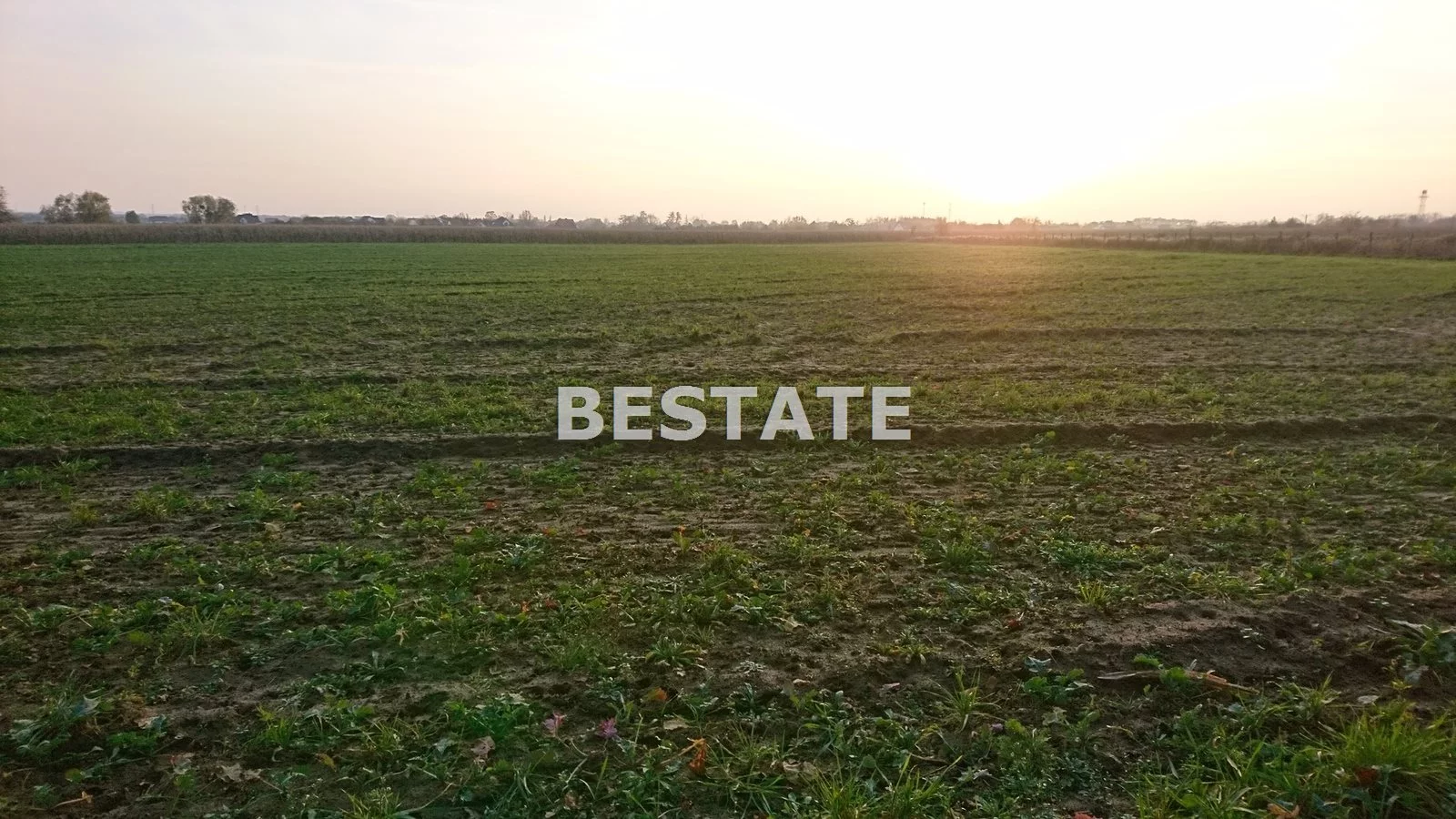 BESW-GS-13837 - zdjęcie nr 4