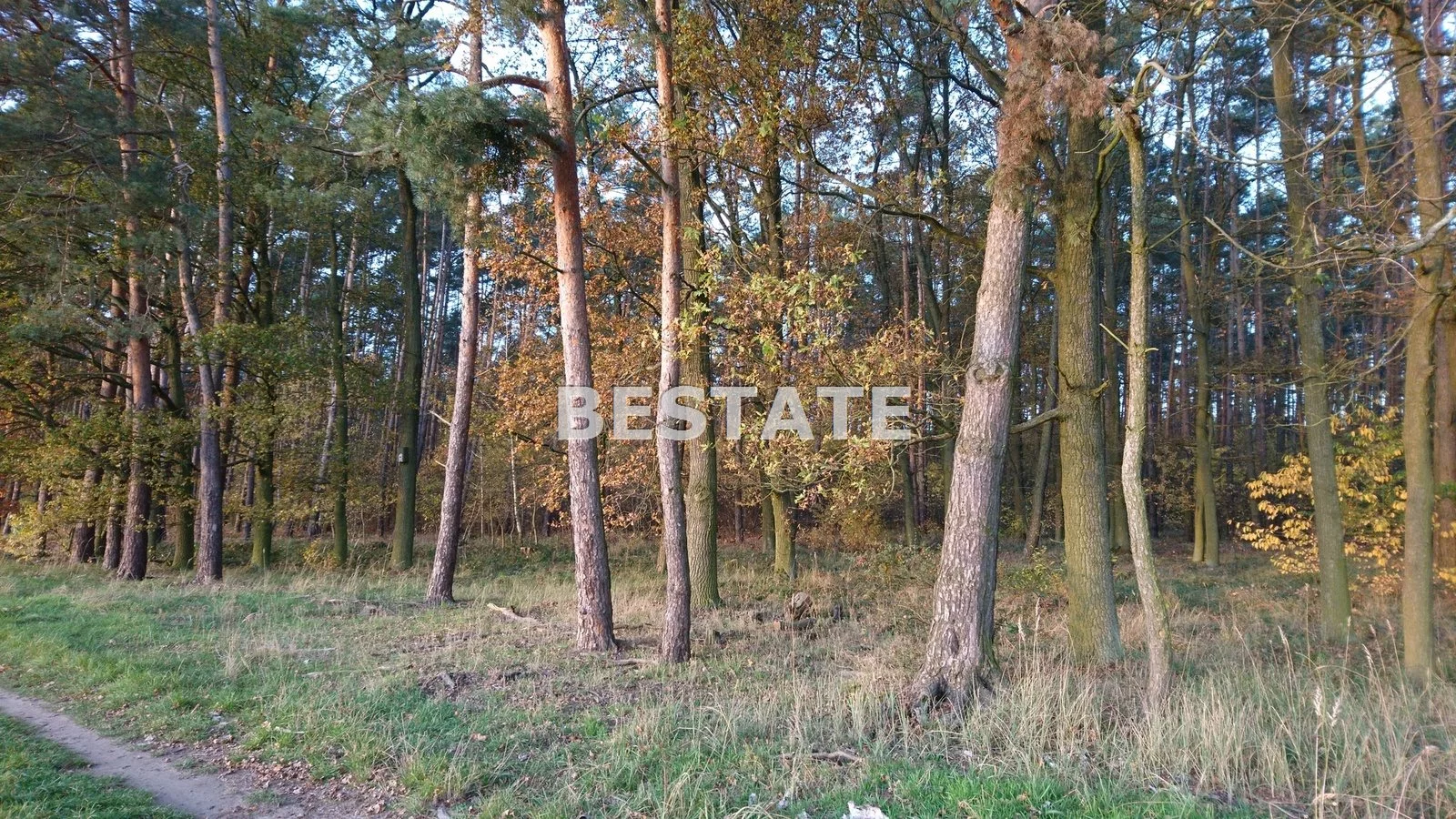 Działka 3 000,00 m², oferta nr , BESW-GS-13837, Oborniki Śląskie