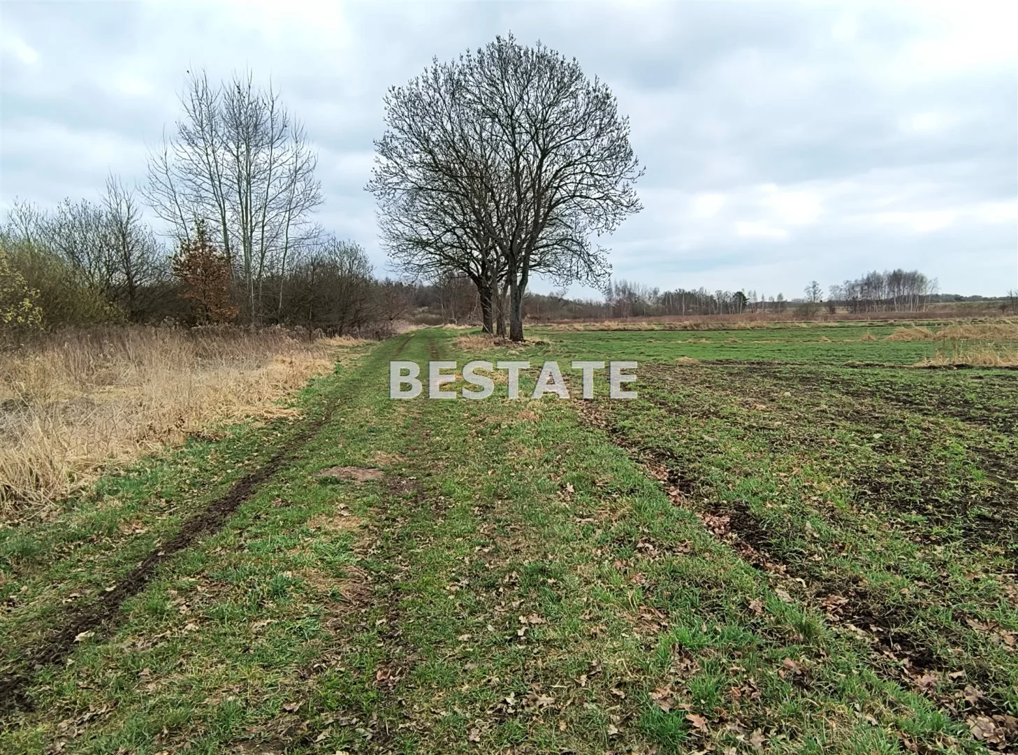 BESW-GS-14784 - zdjęcie nr 2