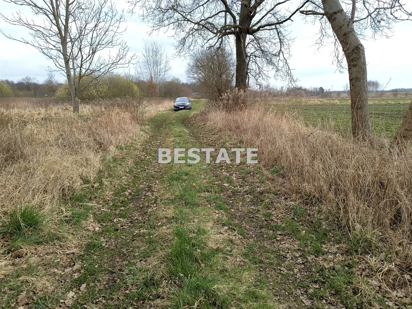 BESW-GS-14784 - zdjęcie nr 3