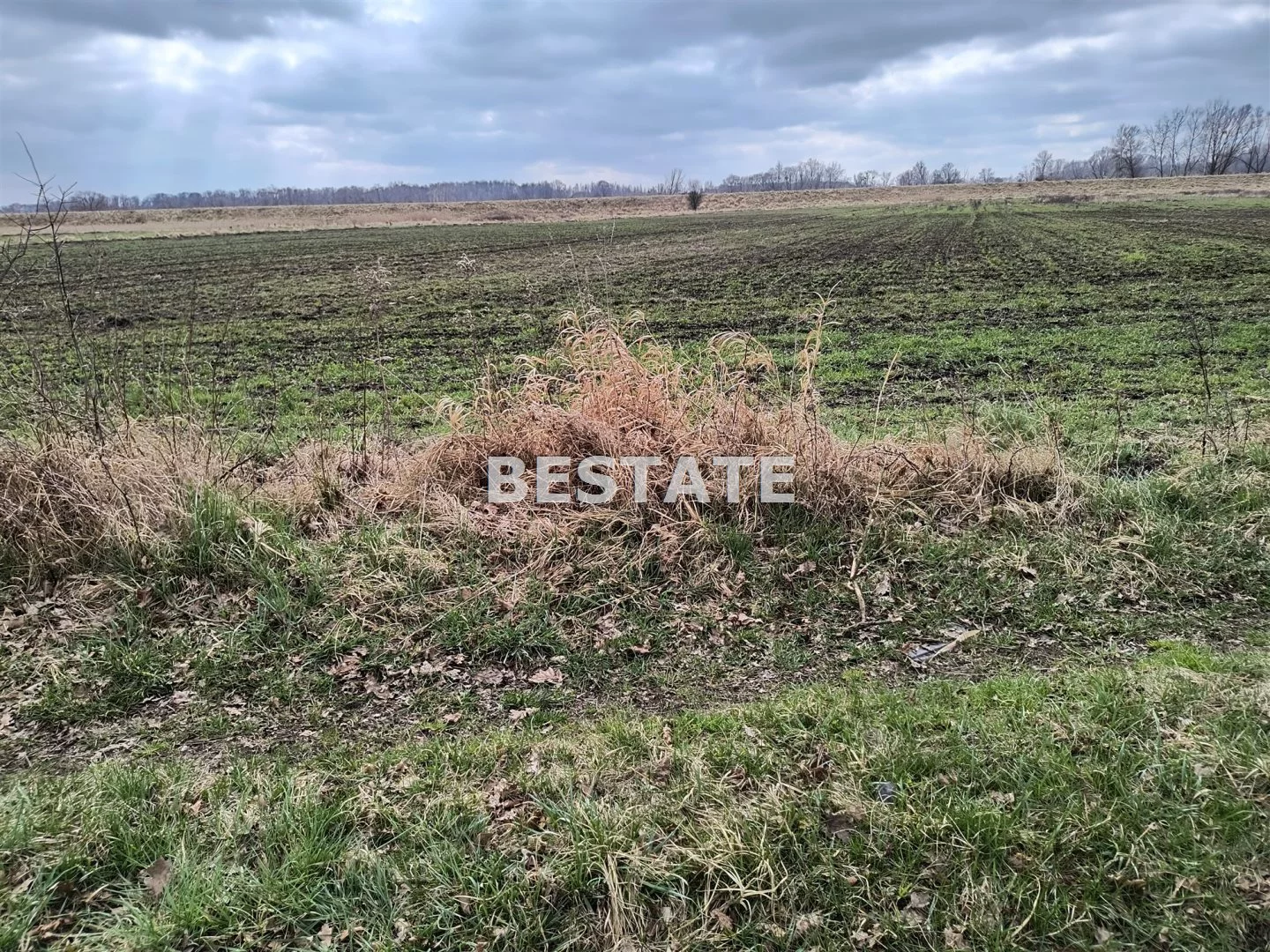 BESW-GS-14784 - zdjęcie nr 4