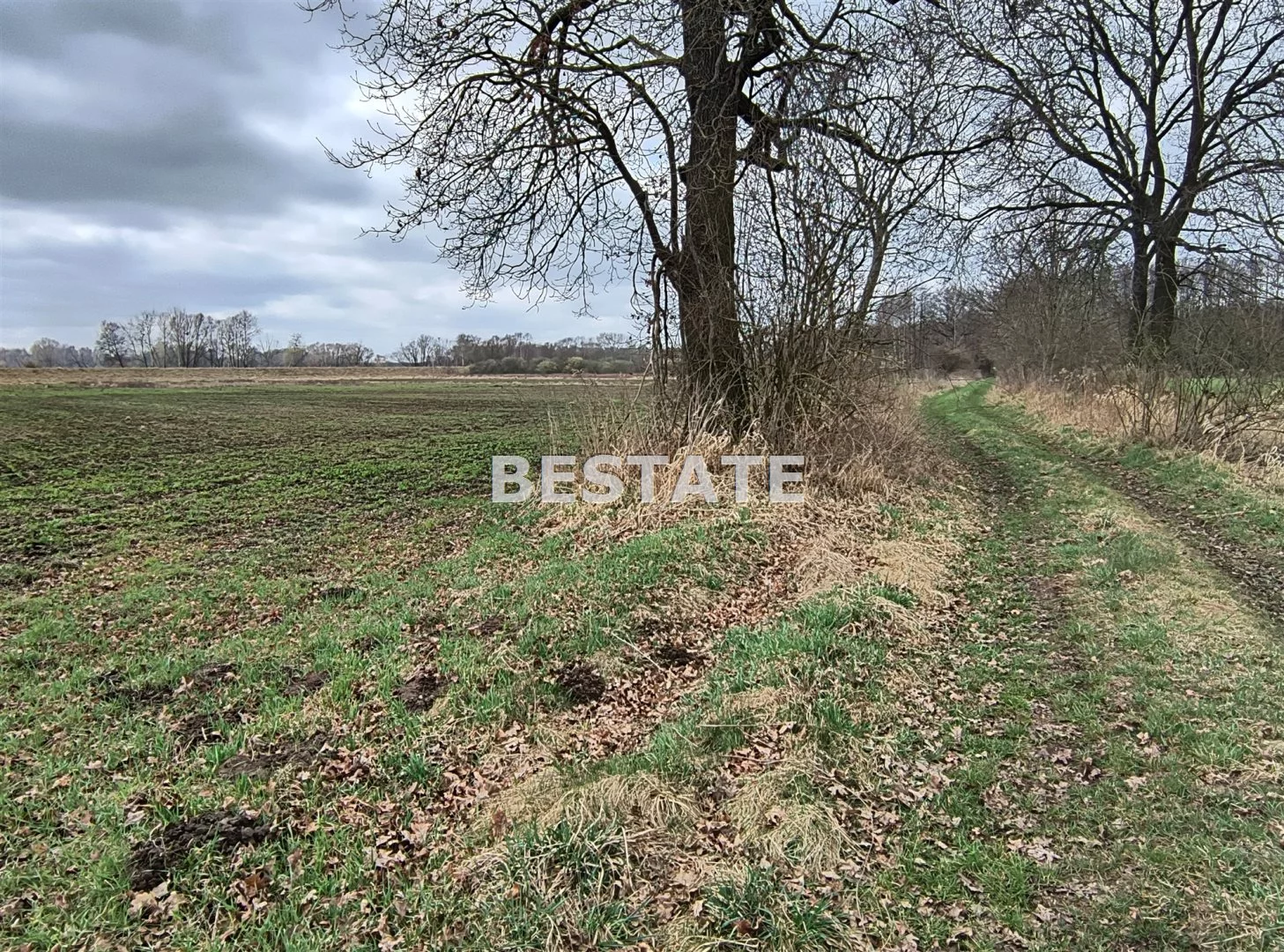 Działka 8 400,00 m², oferta nr , BESW-GS-14784, Oborniki Śląskie