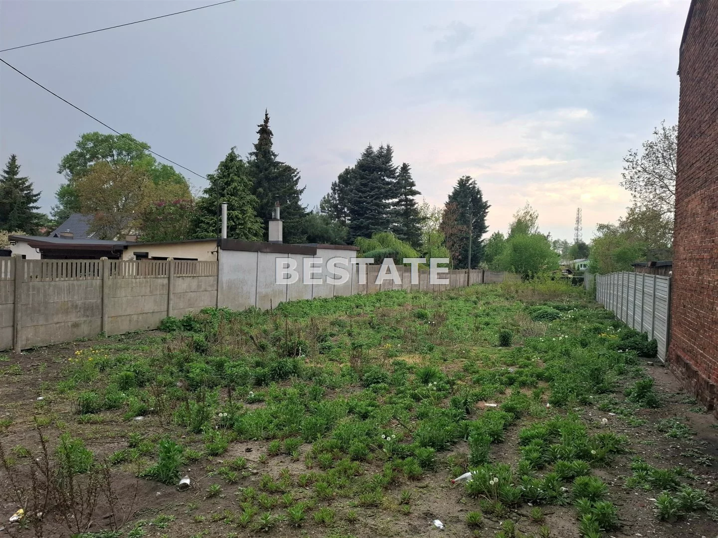 BESP-GS-14830 - zdjęcie nr 3