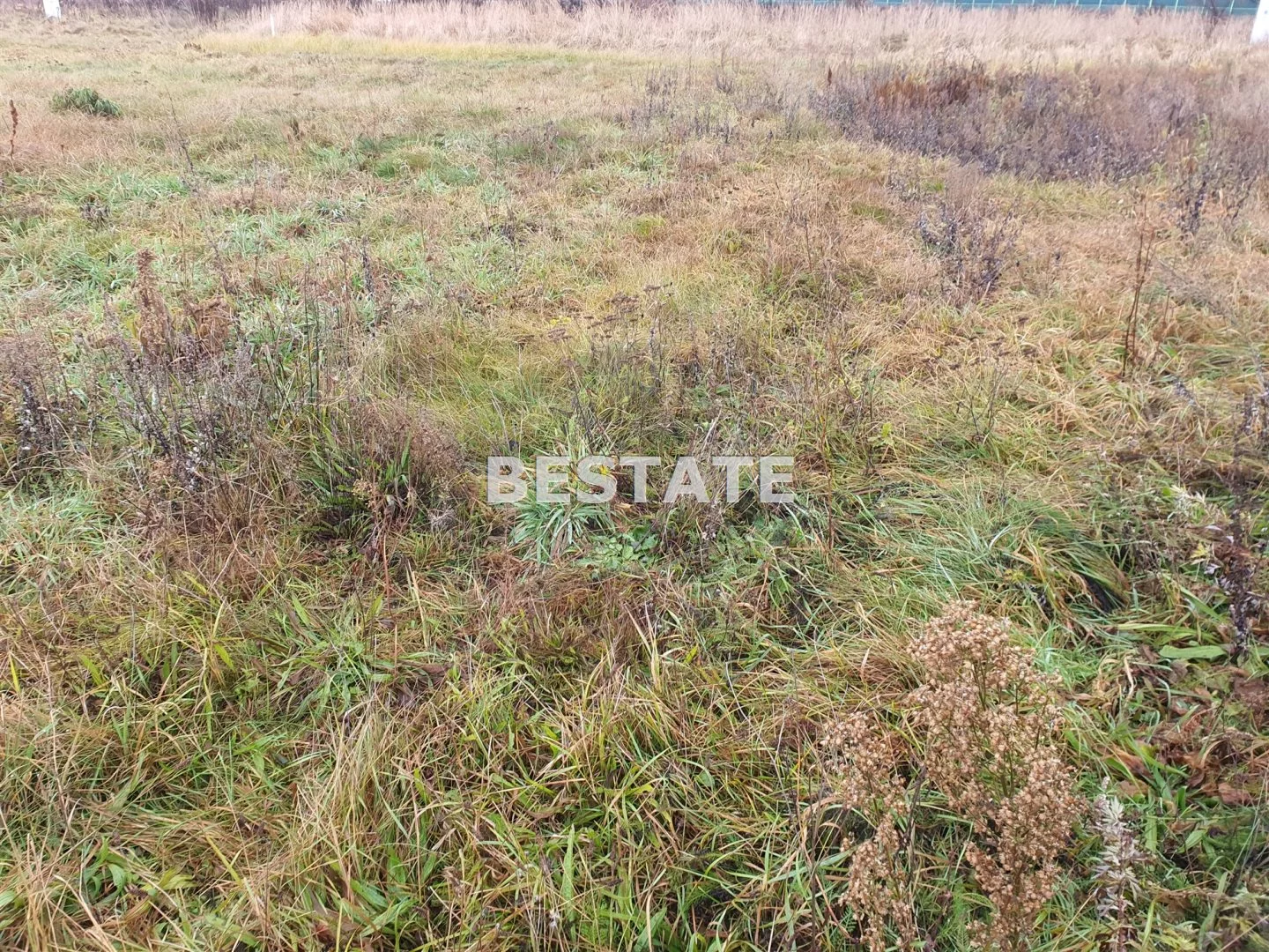 BESP-GS-14643-11 - zdjęcie nr 2