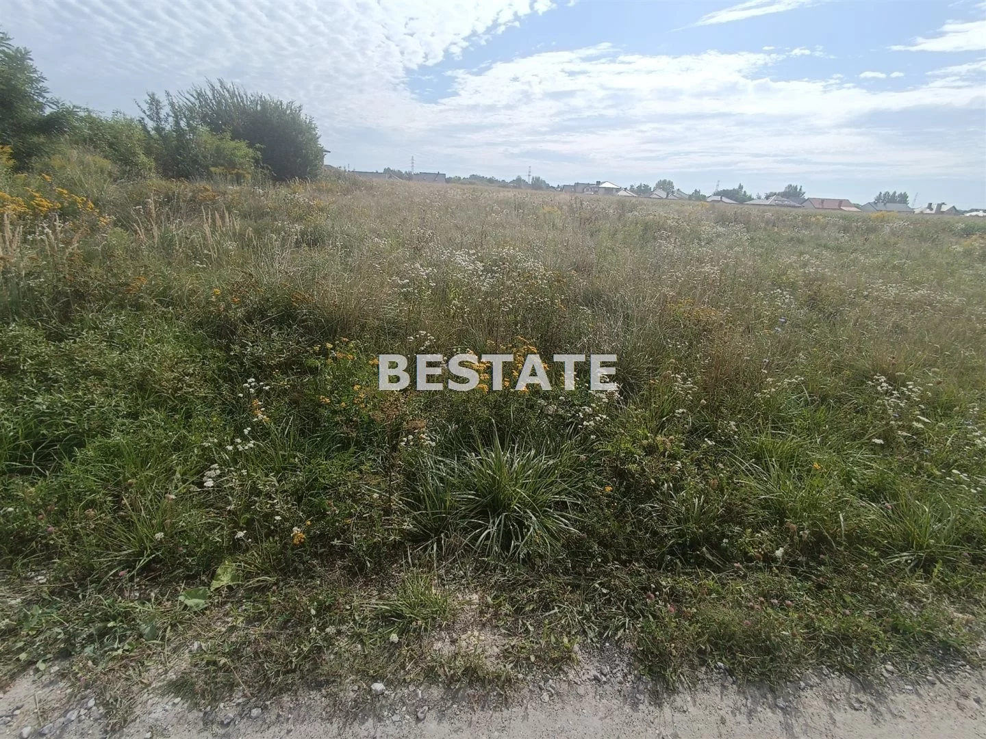 BESP-GS-15045 - zdjęcie nr 3