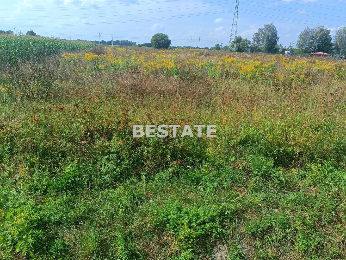 Działka 1 454,00 m², oferta nr , BESP-GS-15062, Pabianice