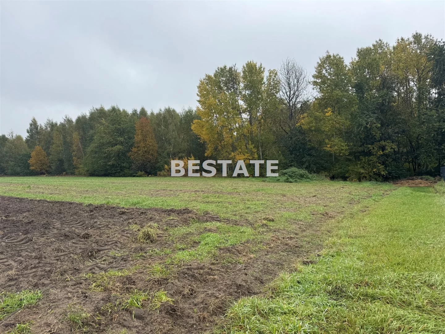 Działka 3 000,00 m², oferta nr , BESP-GS-15117, Pabianice