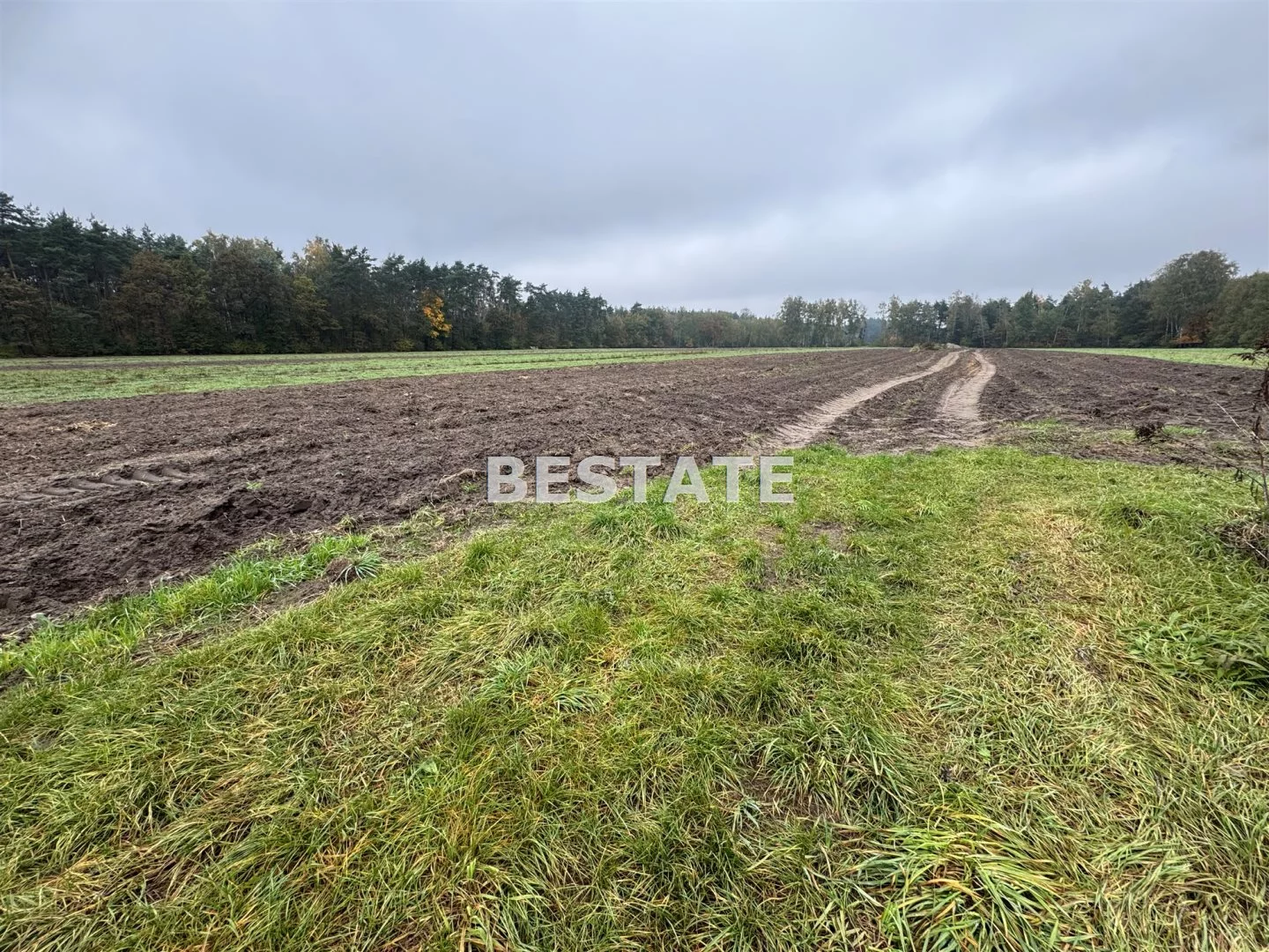 Działka 3 000,00 m², oferta nr , BESP-GS-15117, Pabianice