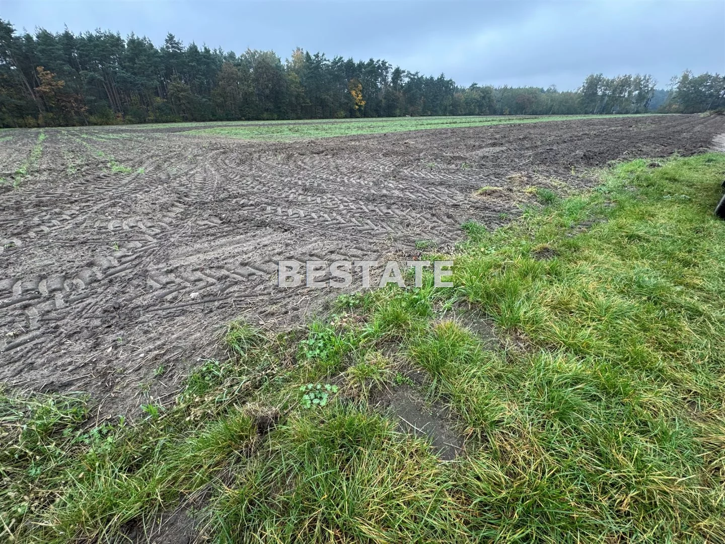 Działka 3 000,00 m², oferta nr , BESP-GS-15117, Pabianice
