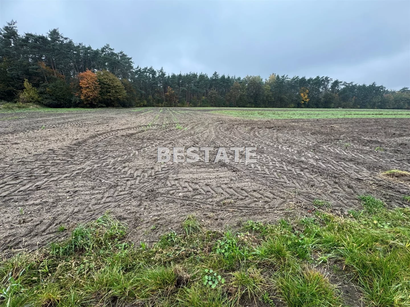 Działka 3 000,00 m², oferta nr , BESP-GS-15117, Pabianice
