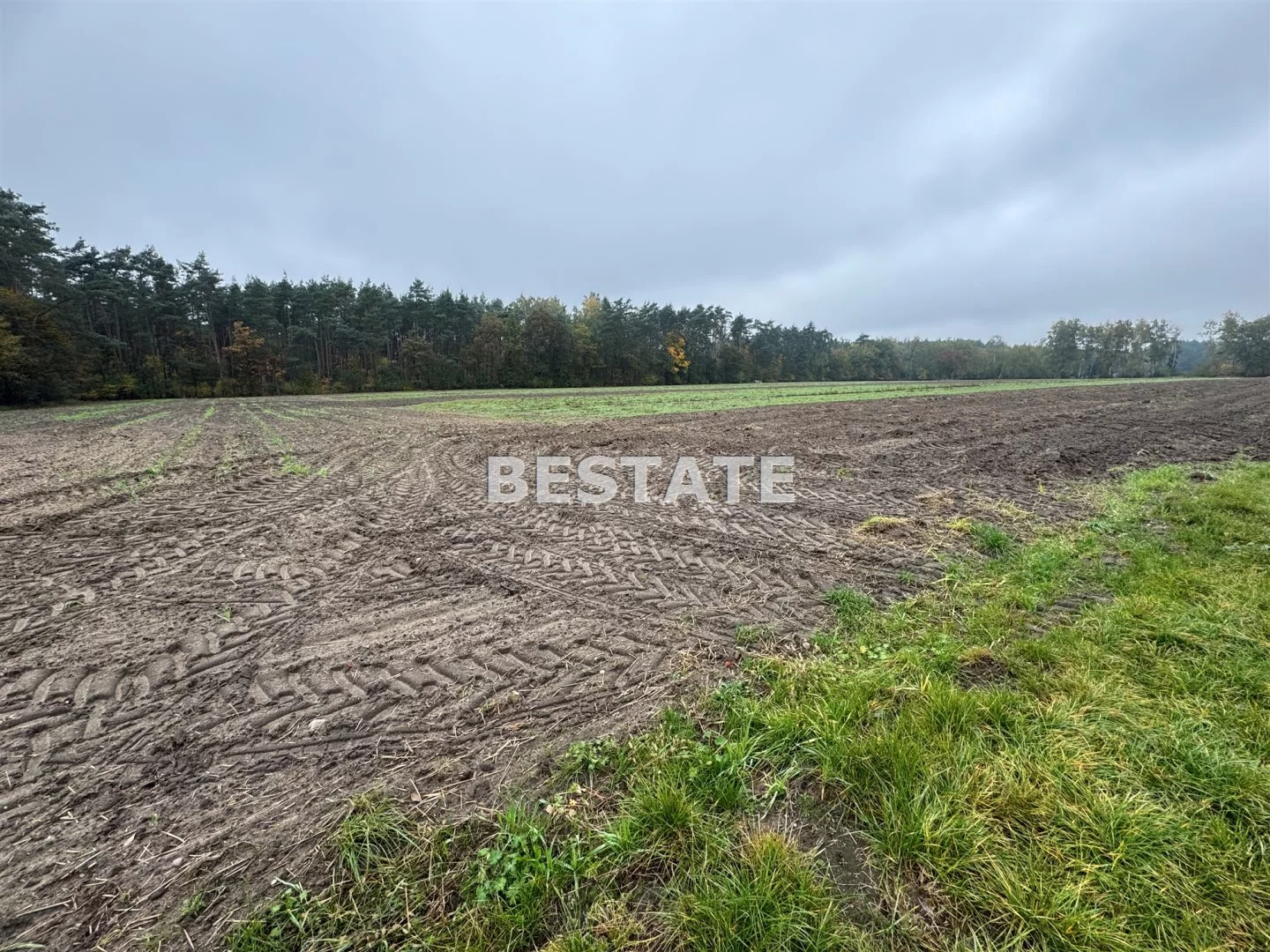 Działka 3 000,00 m², oferta nr , BESP-GS-15117, Pabianice
