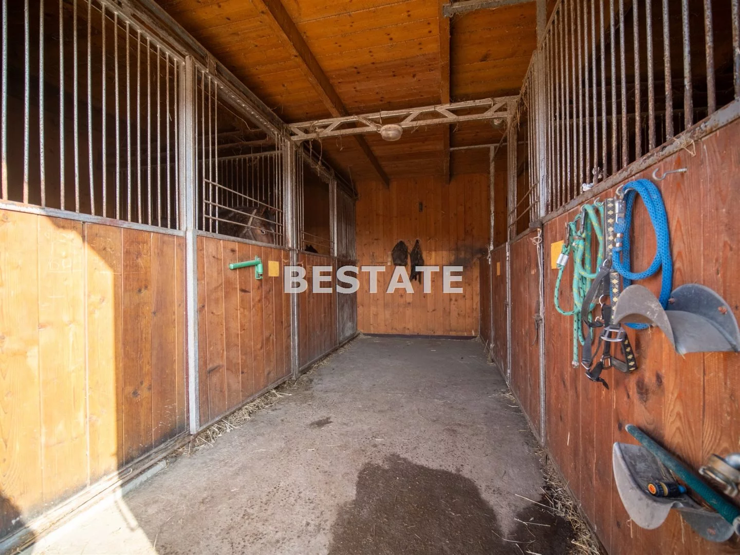 Działka 300,00 m², oferta nr , BEST-GS-14747, Pleśna