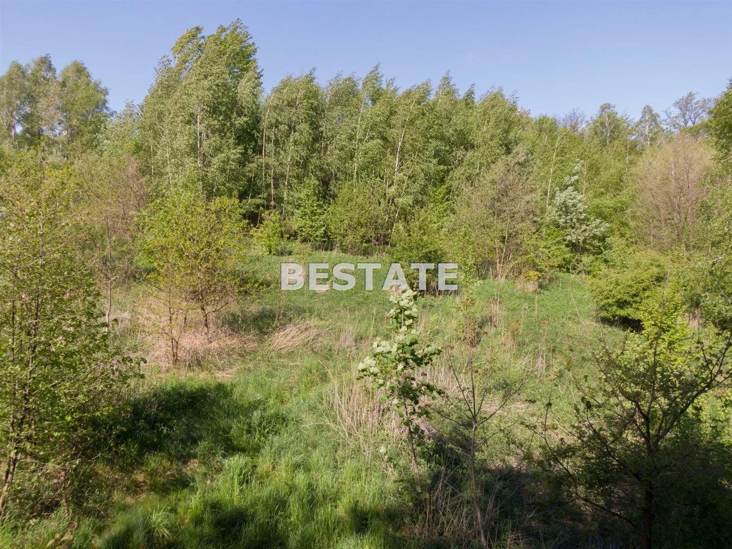 BEST-GS-14052 - zdjęcie nr 0