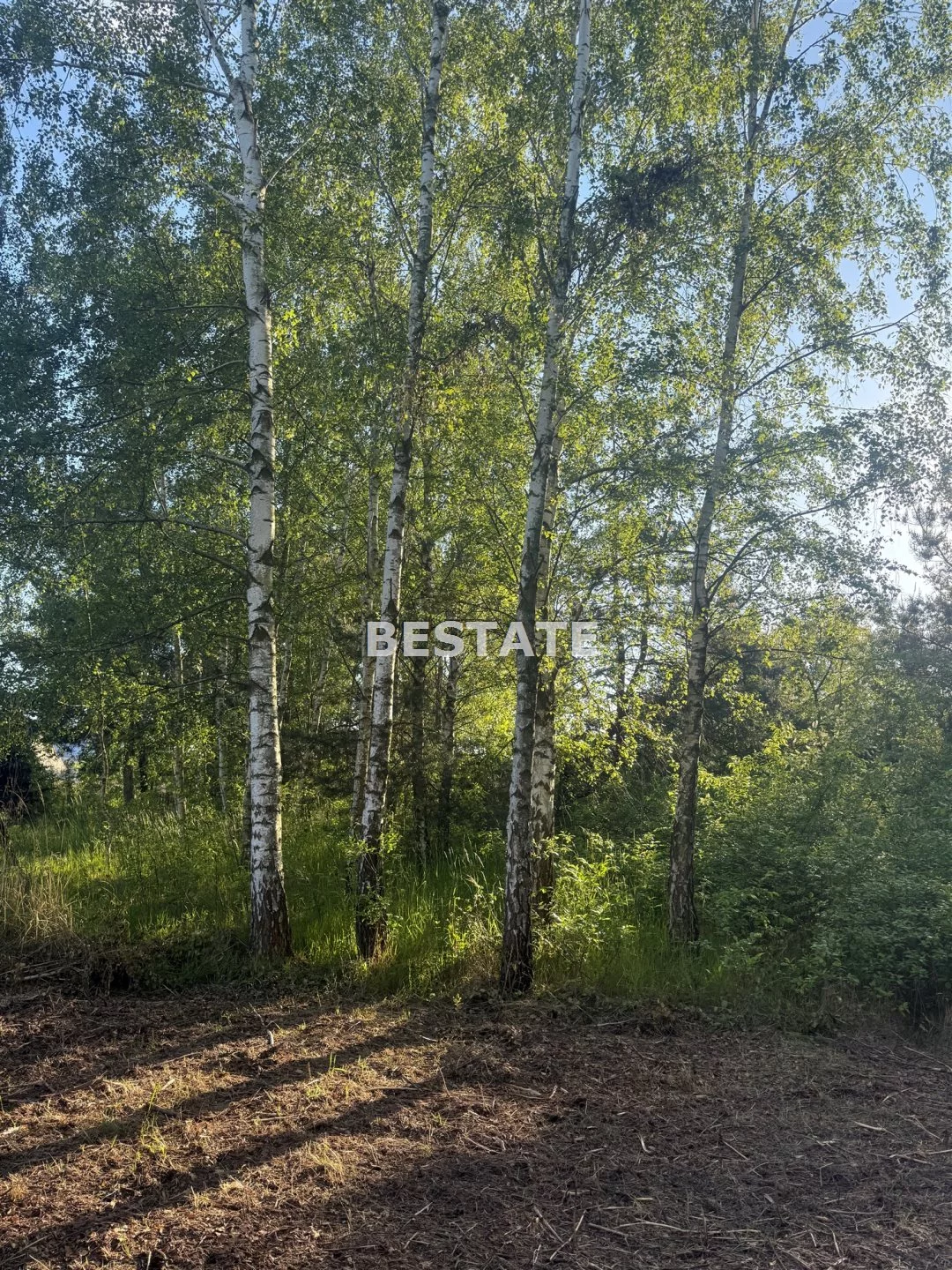 BEST-GS-14907 - zdjęcie nr 0