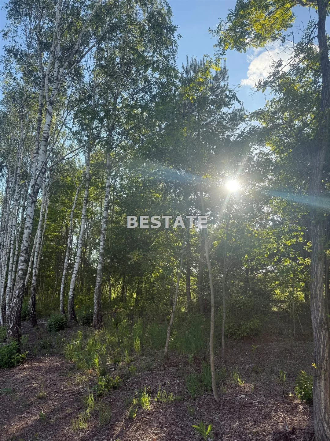 Działka 1 000,00 m², oferta nr , BEST-GS-14907, Przecław