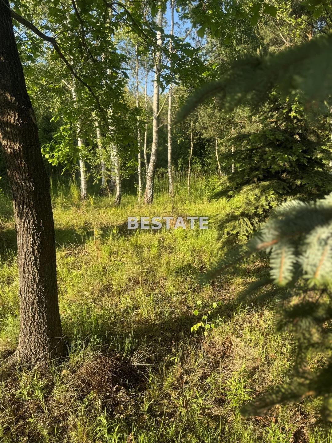 BEST-GS-14907 - zdjęcie nr 3