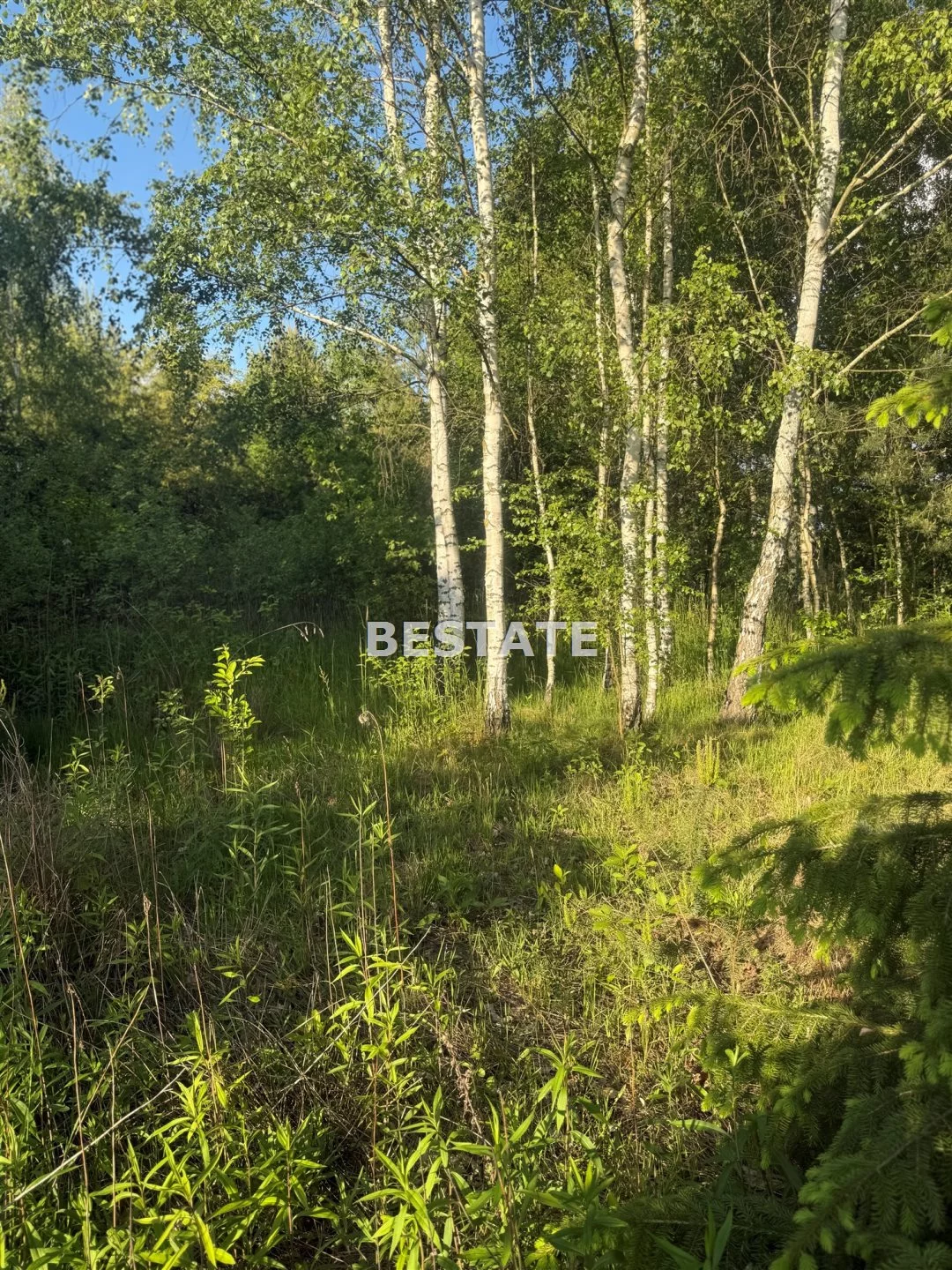 BEST-GS-14907 - zdjęcie nr 4