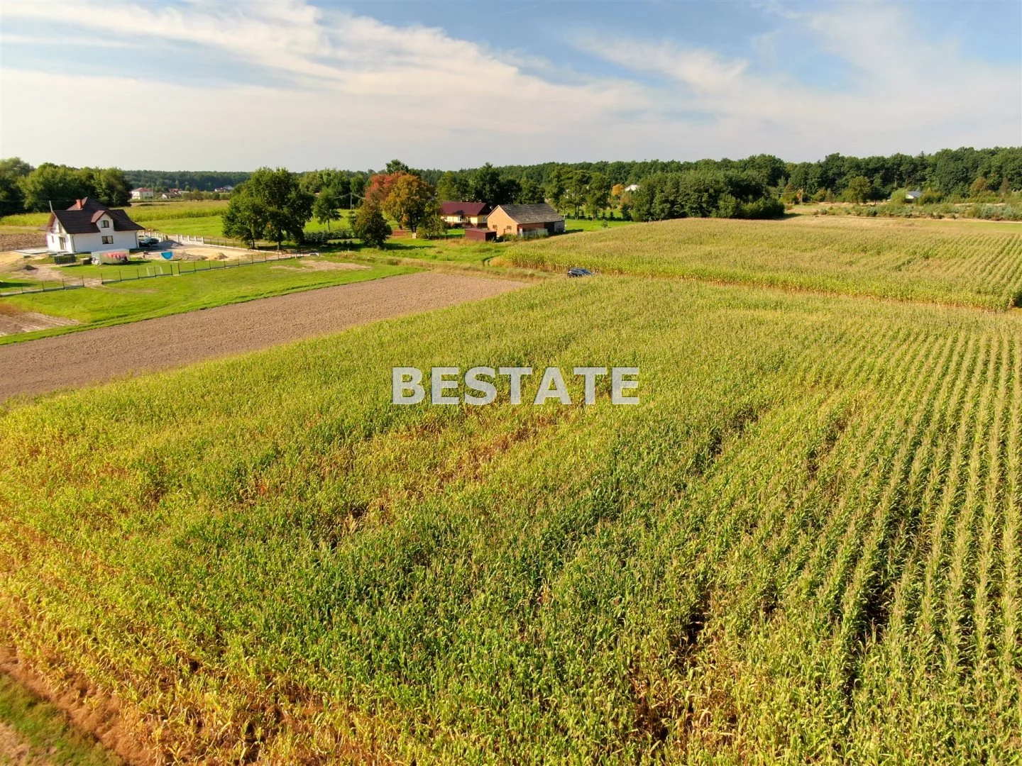 BEST-GS-12121 - zdjęcie nr 4