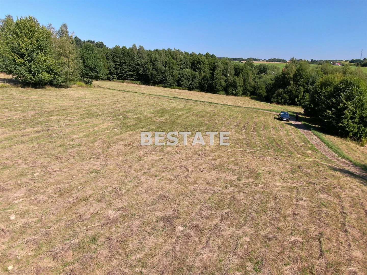 BEST-GS-12923 - zdjęcie nr 3