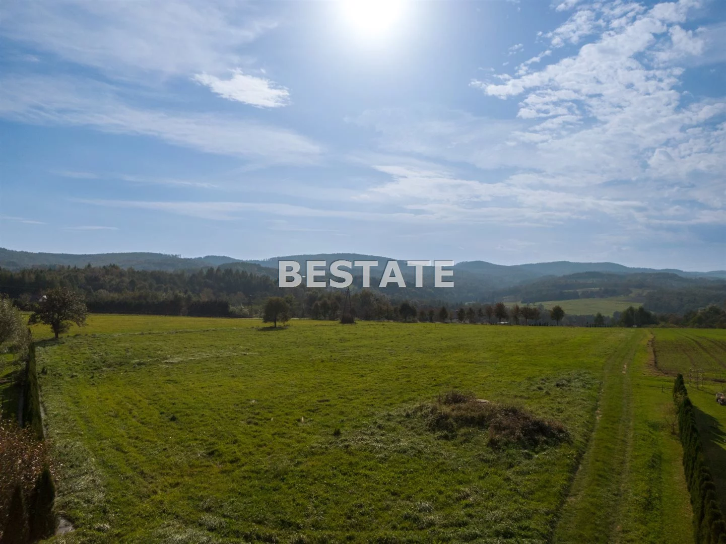 BEST-GS-13740 - zdjęcie nr 1