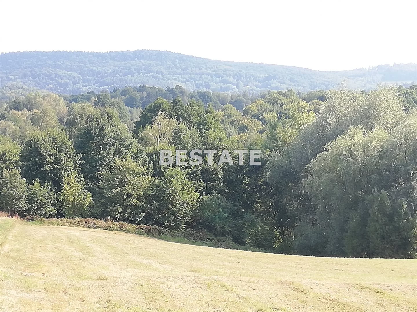 BEST-GS-13154 - zdjęcie nr 0
