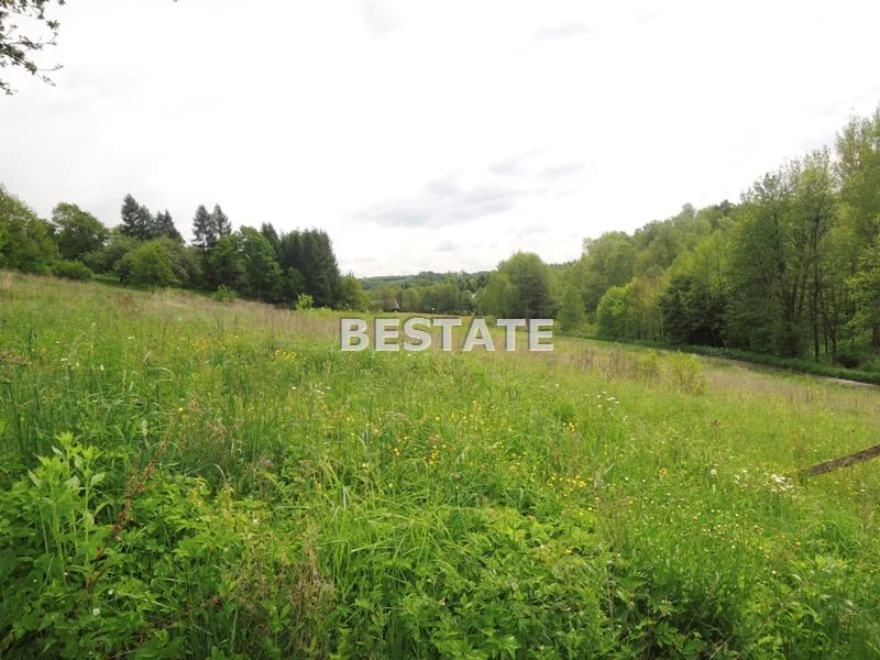 BEST-GS-12381-1 - zdjęcie nr 0