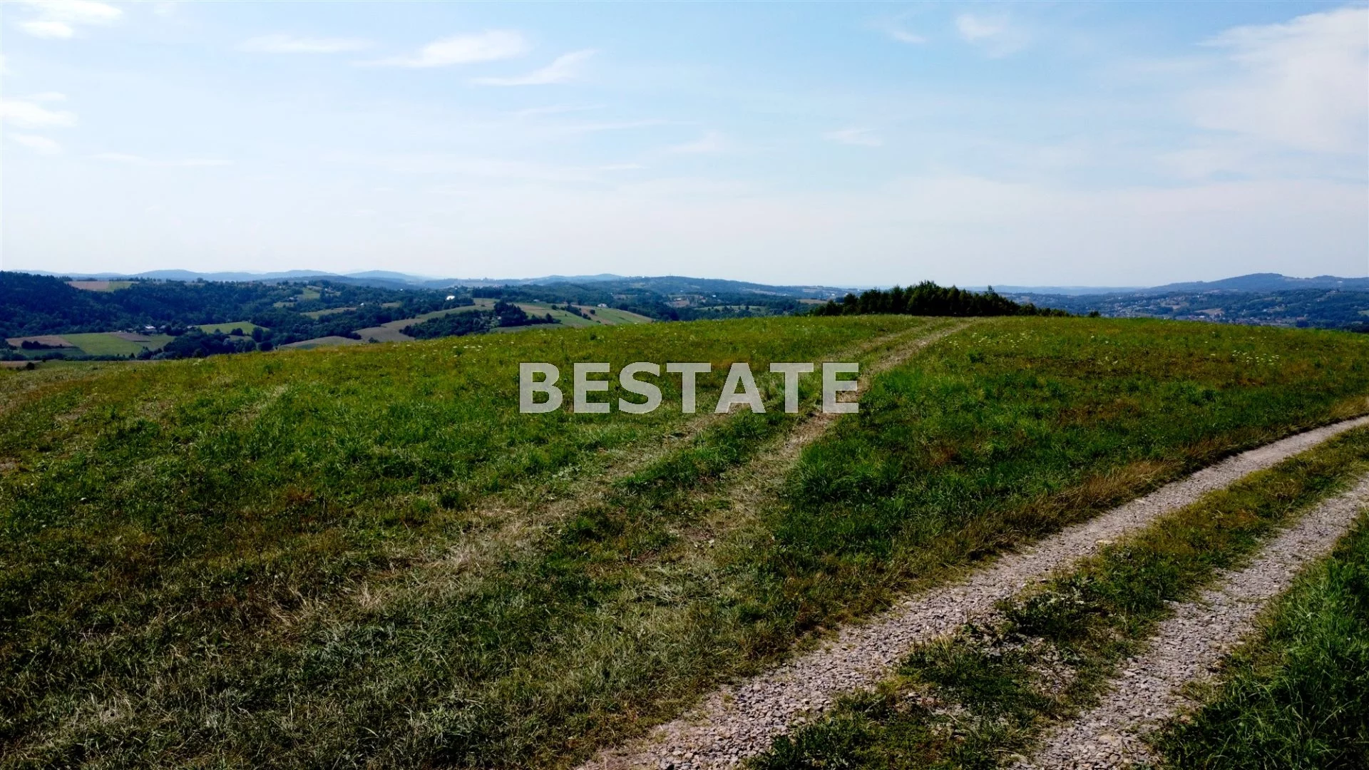 Działka 3 600,00 m², oferta nr , BEST-GS-12619, Rzepiennik Strzyżewski
