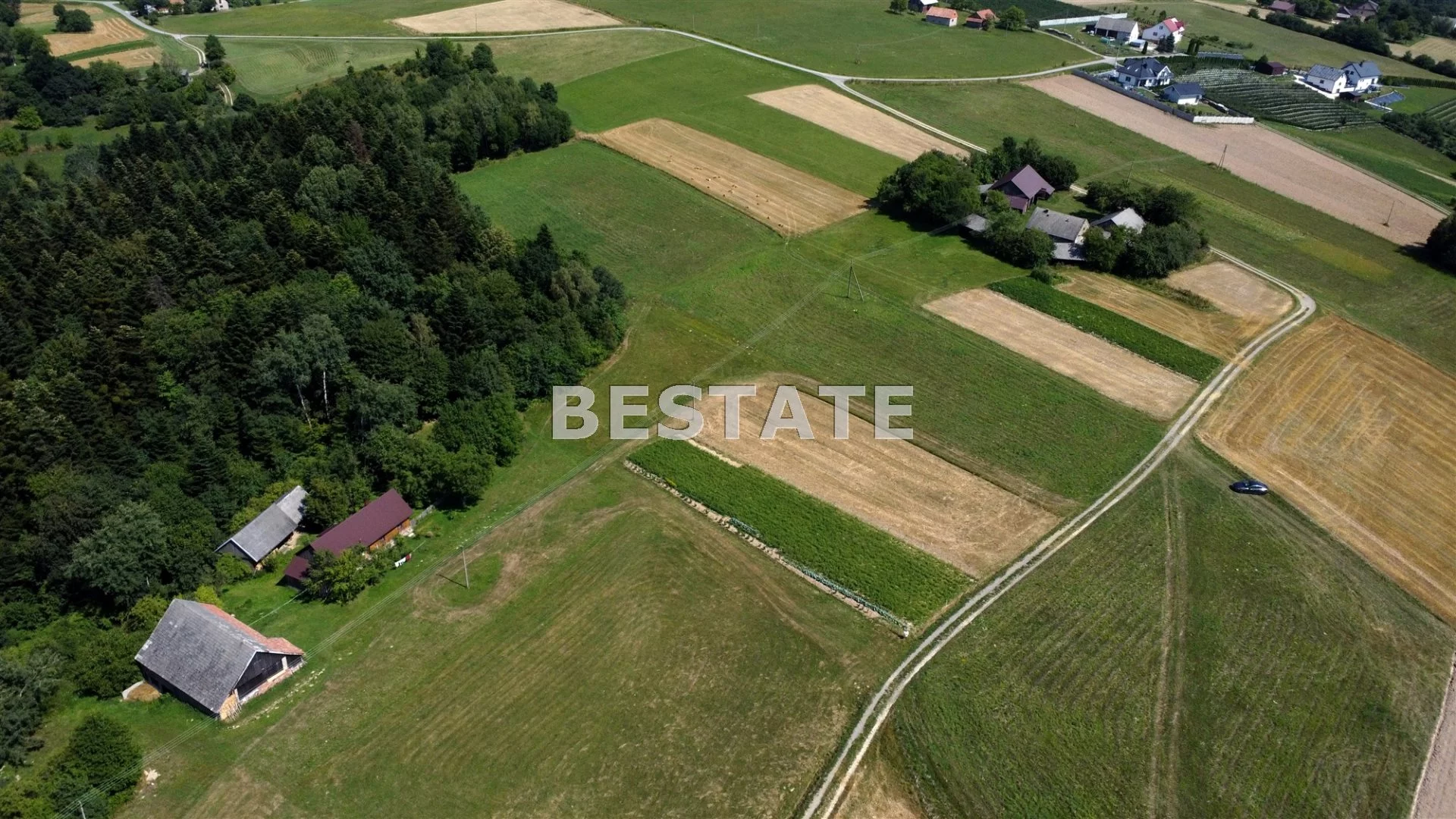 BEST-GS-12619 - zdjęcie nr 3