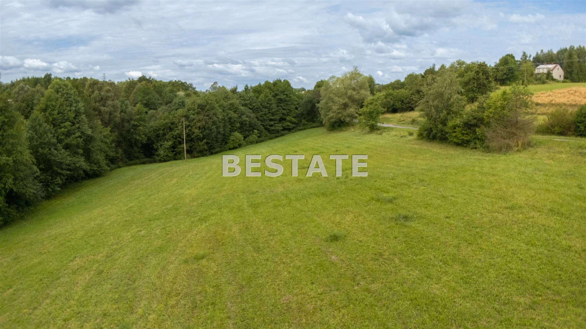 Działka 12 220,00 m², oferta nr , BEST-GS-14996, Rzepiennik Strzyżewski