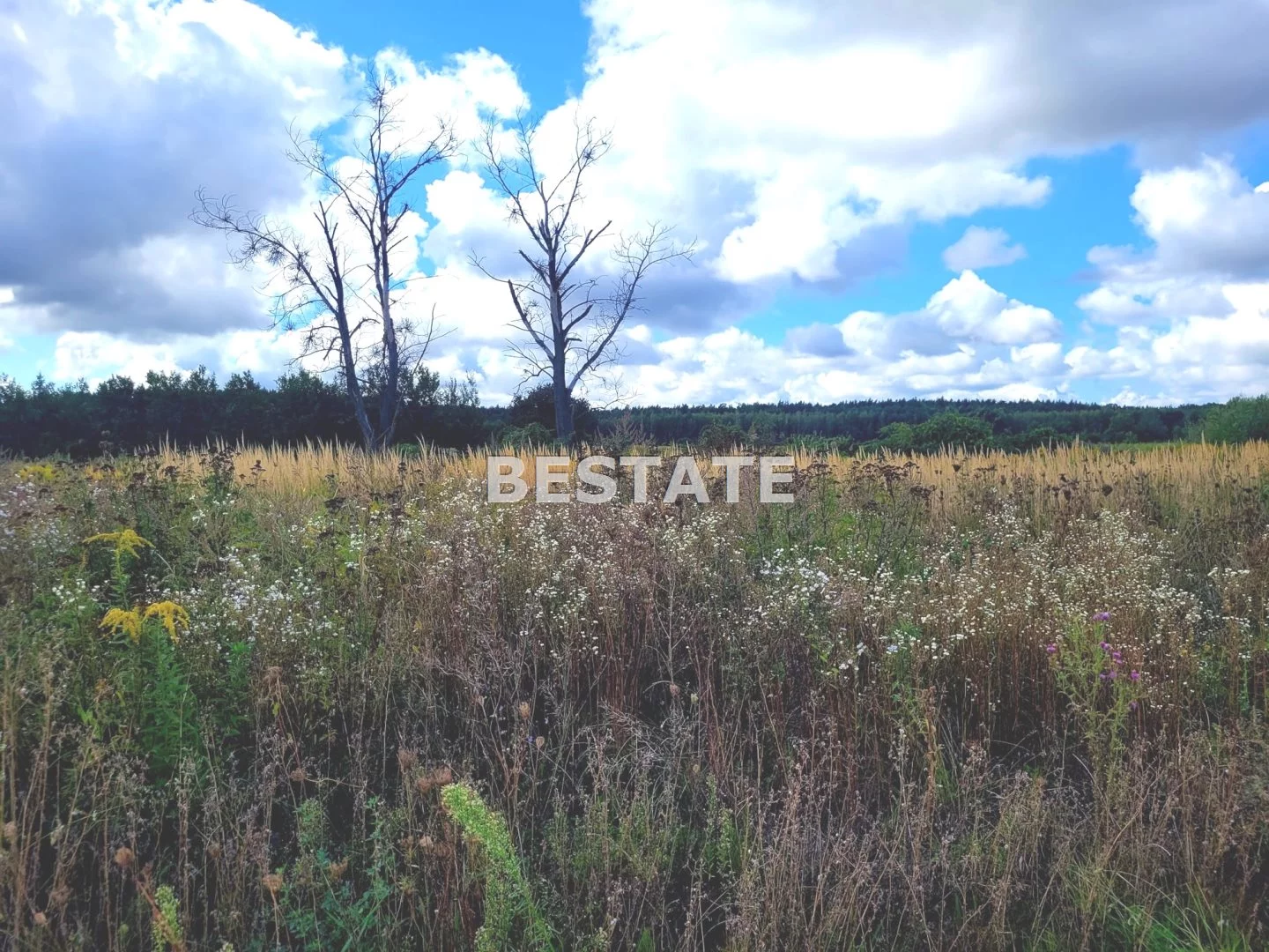 Działka 1 000,00 m², oferta nr , BESW-GS-15058, Siechnice
