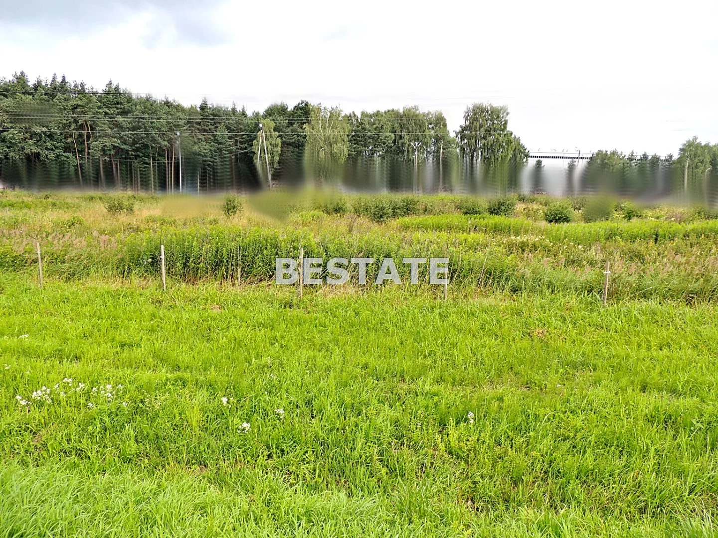 BEST-GS-1641-1 - zdjęcie nr 0