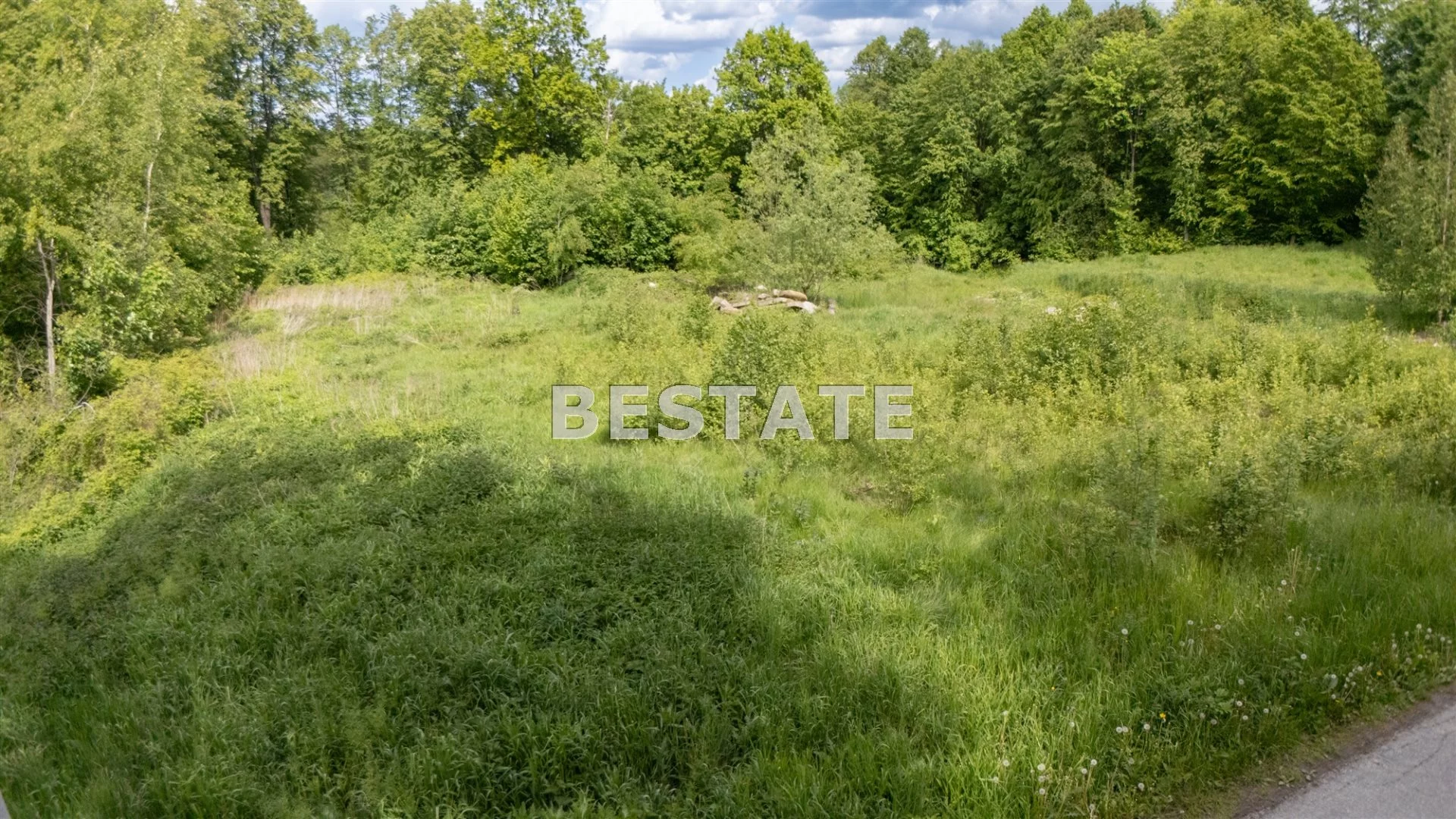 BEST-GS-14898 - zdjęcie nr 4