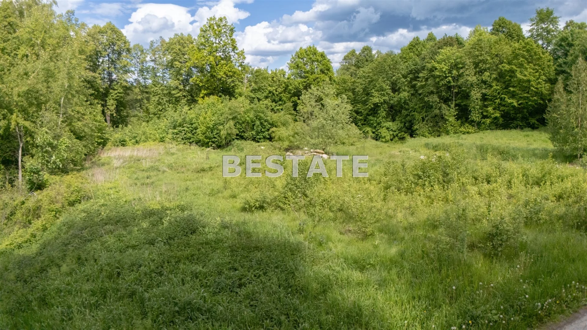 BEST-GS-14898 - zdjęcie nr 5