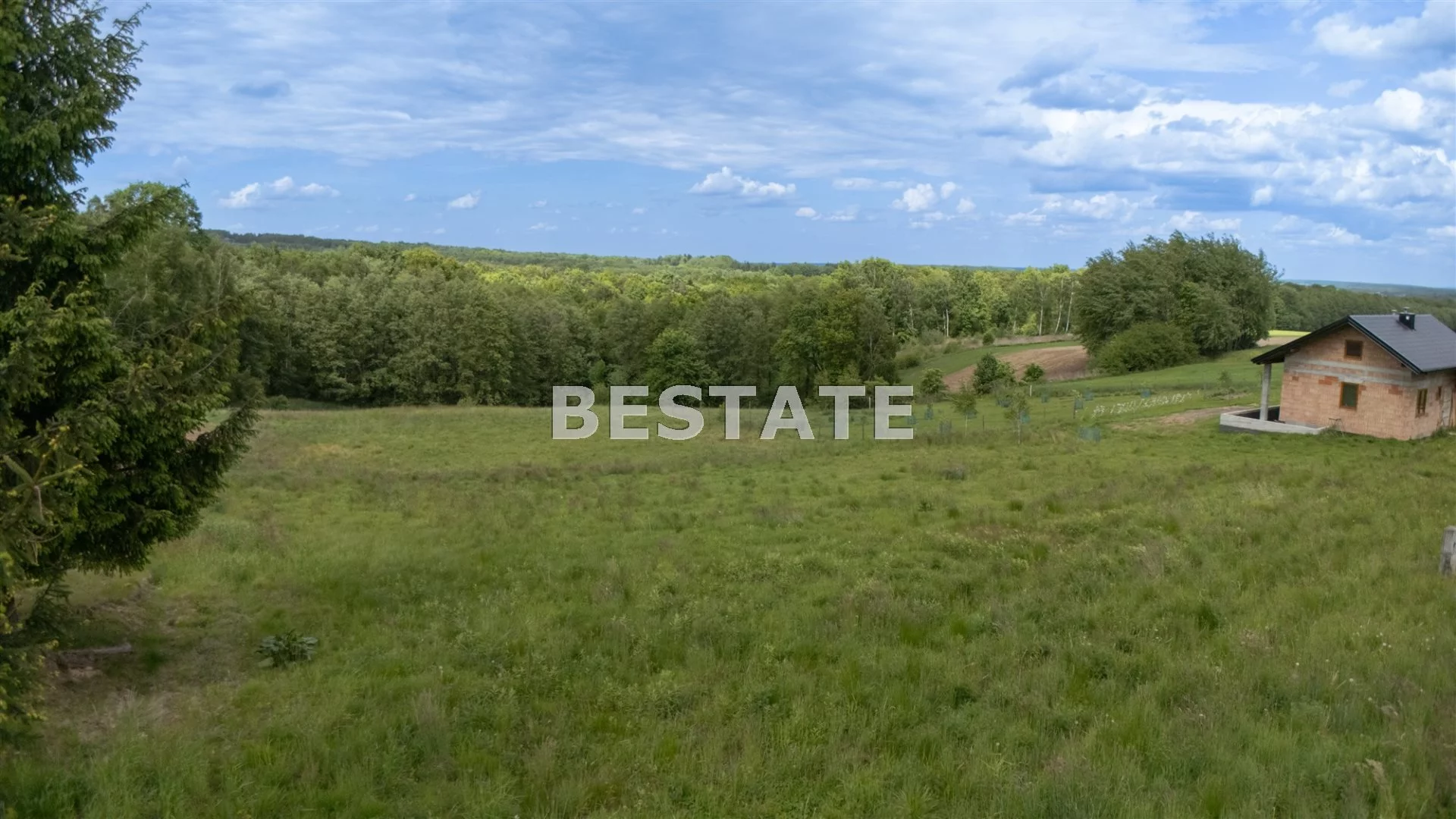 BEST-GS-14899 - zdjęcie nr 0