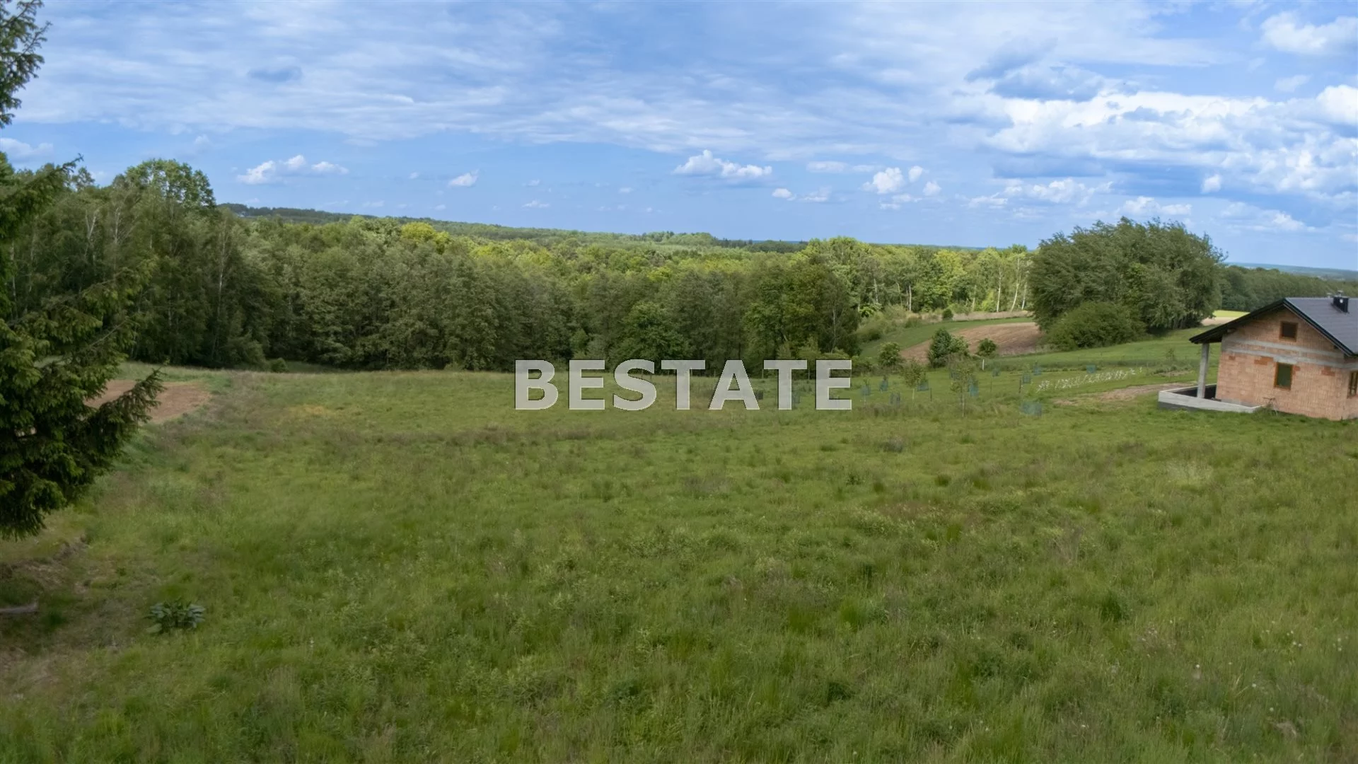 BEST-GS-14899 - zdjęcie nr 1