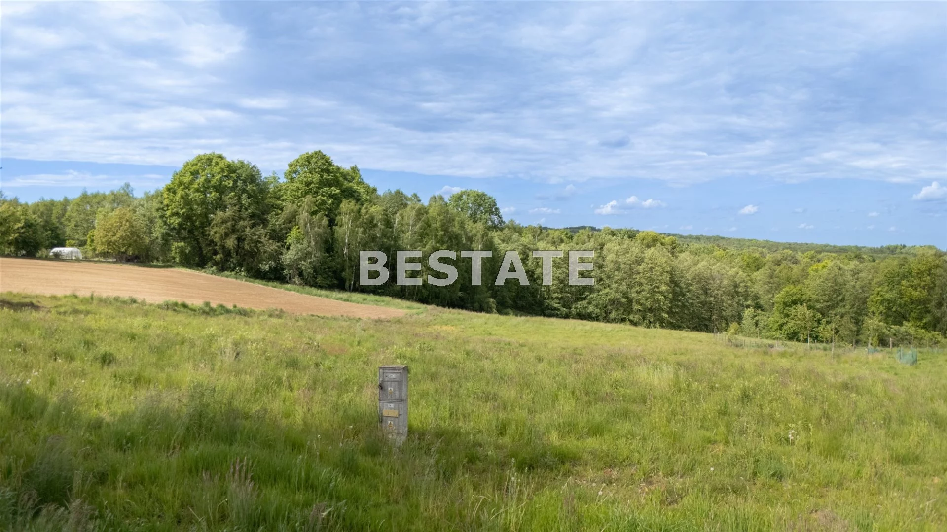 BEST-GS-14899 - zdjęcie nr 4
