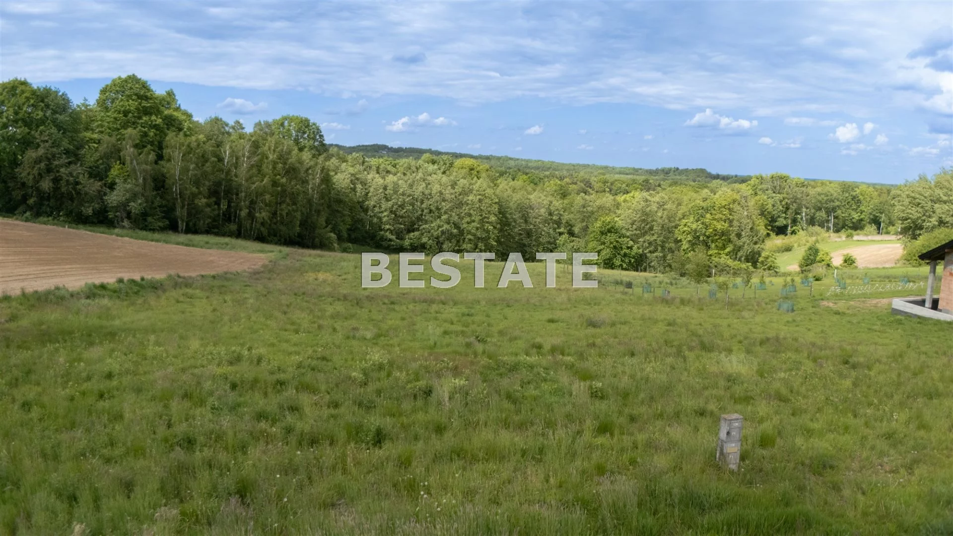BEST-GS-14899 - zdjęcie nr 5