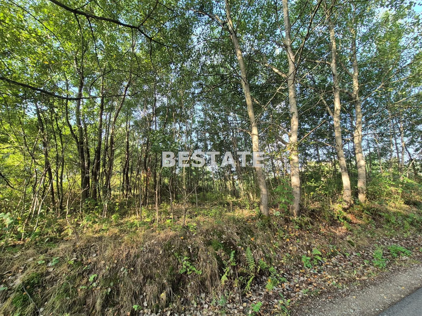 Działka 1 633,00 m², oferta nr , BEST-GS-15056, Skrzyszów