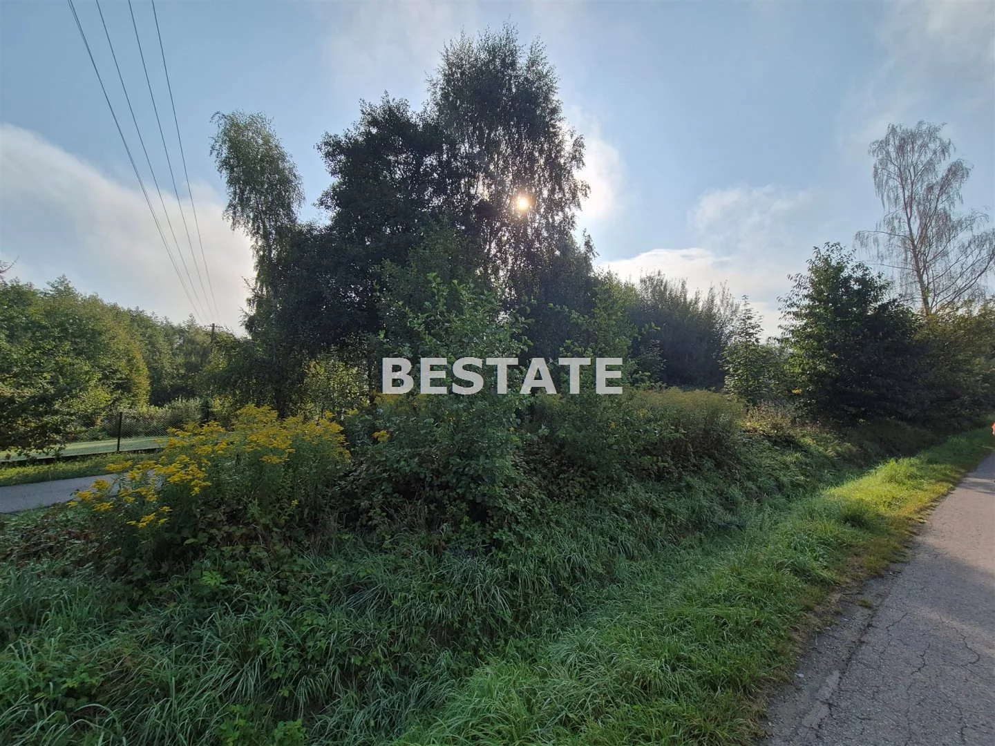 Działka 1 633,00 m², oferta nr , BEST-GS-15056, Skrzyszów