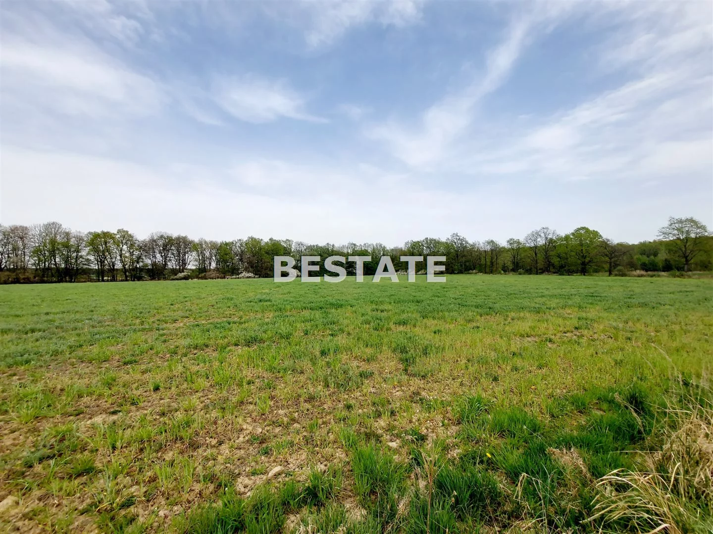 BESW-GS-14819 - zdjęcie nr 1