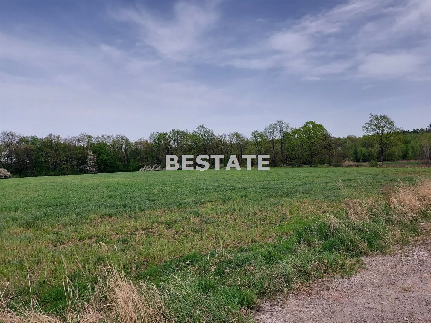 BESW-GS-14819 - zdjęcie nr 3