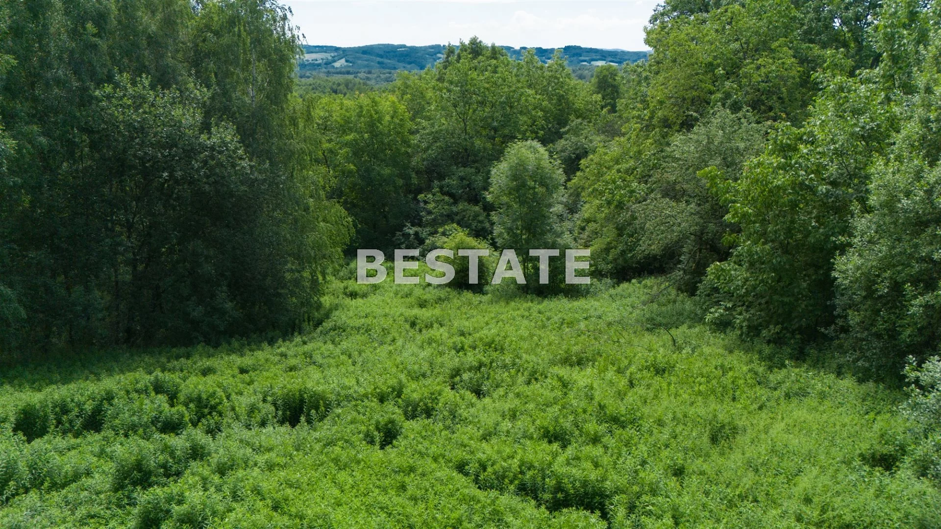 BEST-GS-14252 - zdjęcie nr 2