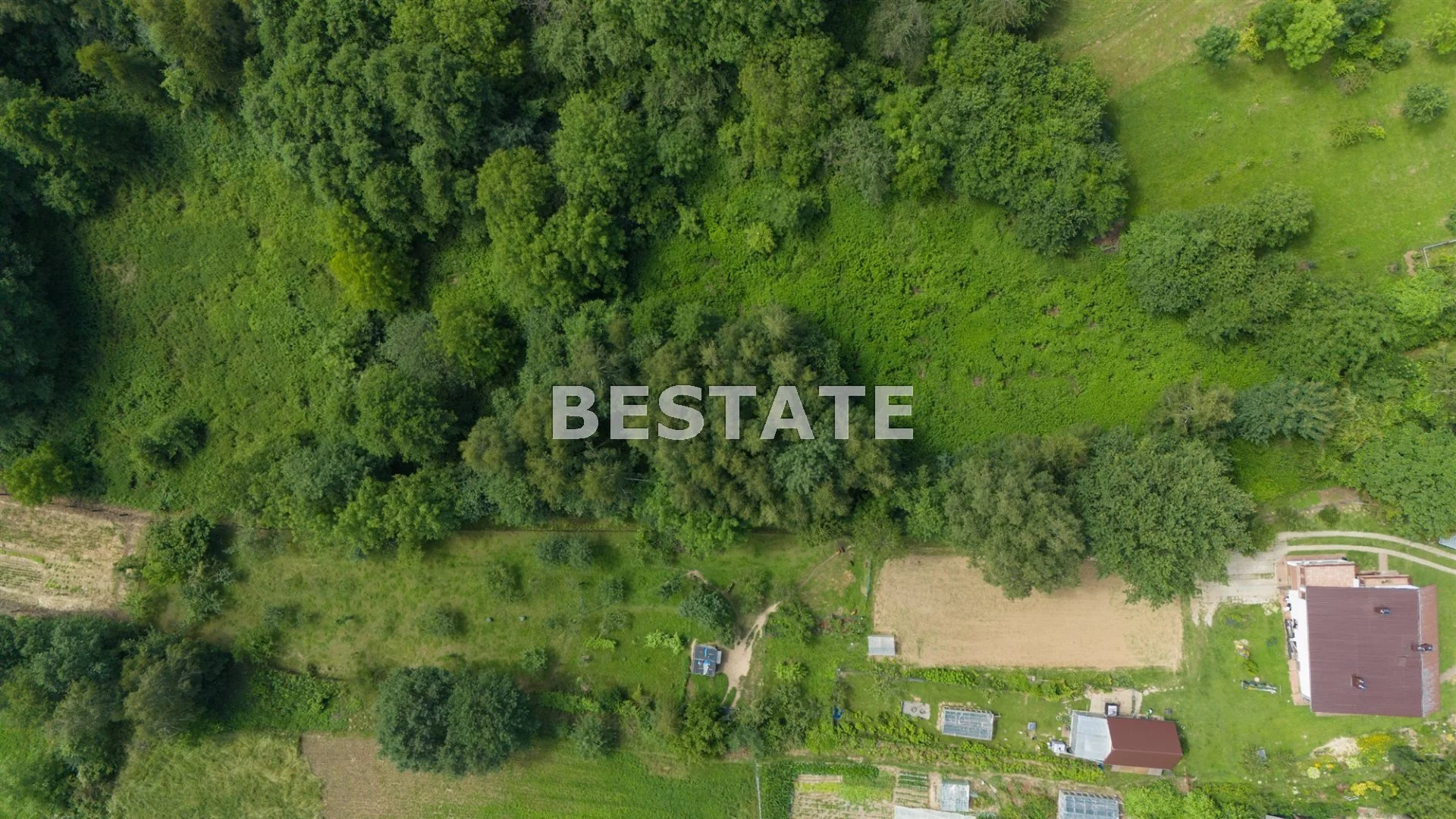 BEST-GS-14252 - zdjęcie nr 3