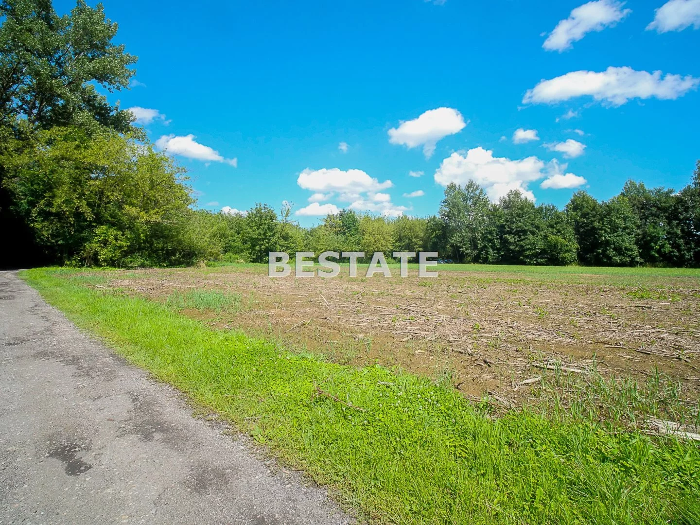 BEST-GS-13587 - zdjęcie nr 0