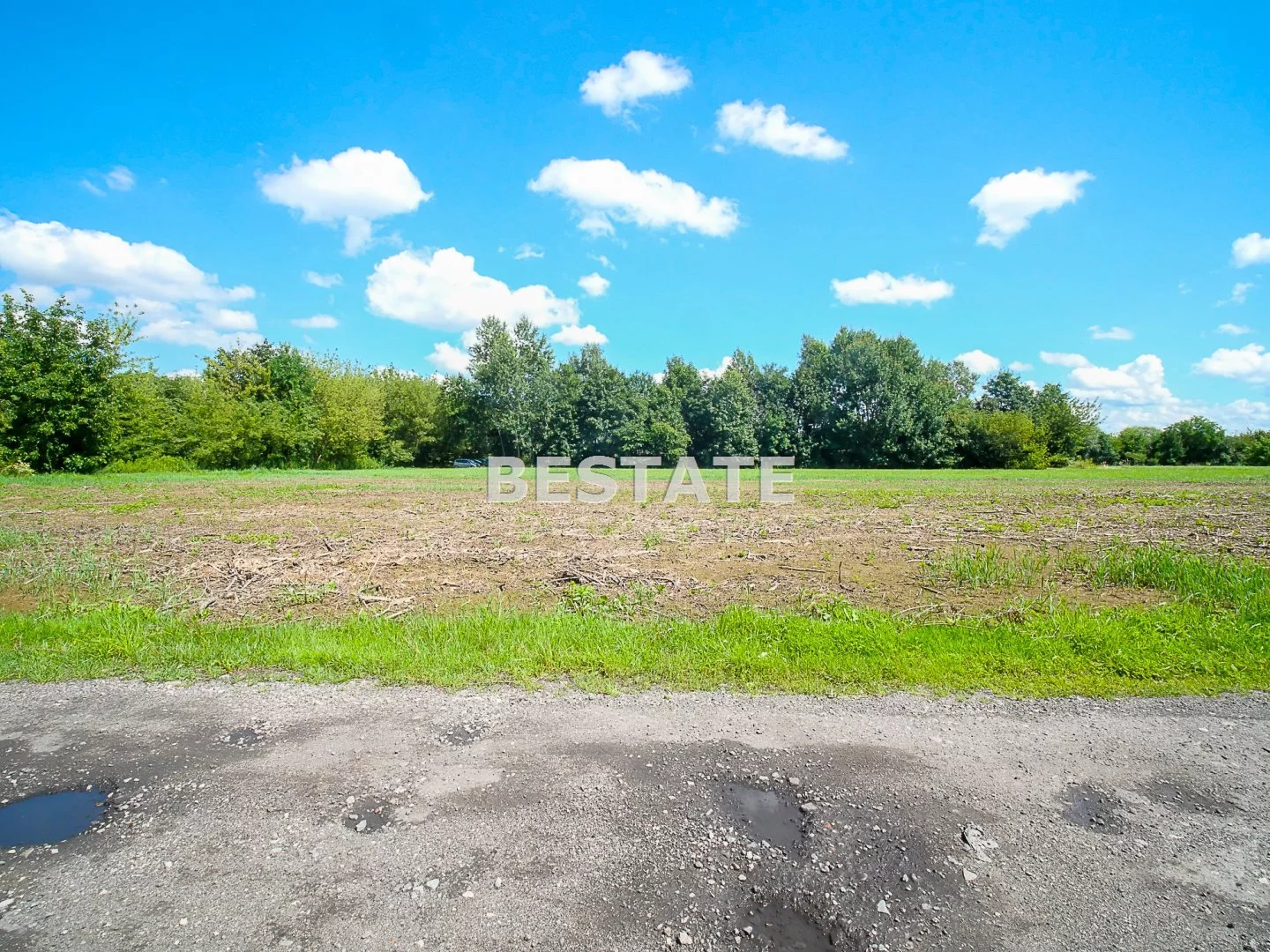 BEST-GS-13587 - zdjęcie nr 2