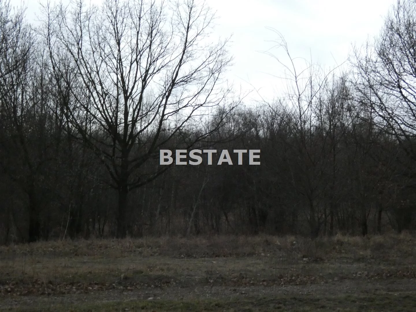 BEST-GS-12397-2 - zdjęcie nr 0