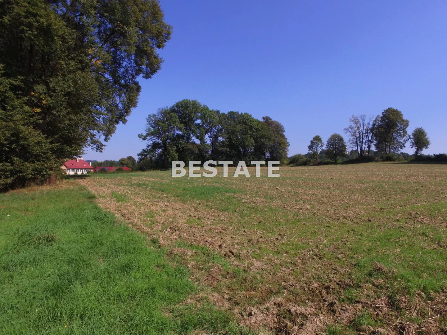 BEST-GS-12488 - zdjęcie nr 0