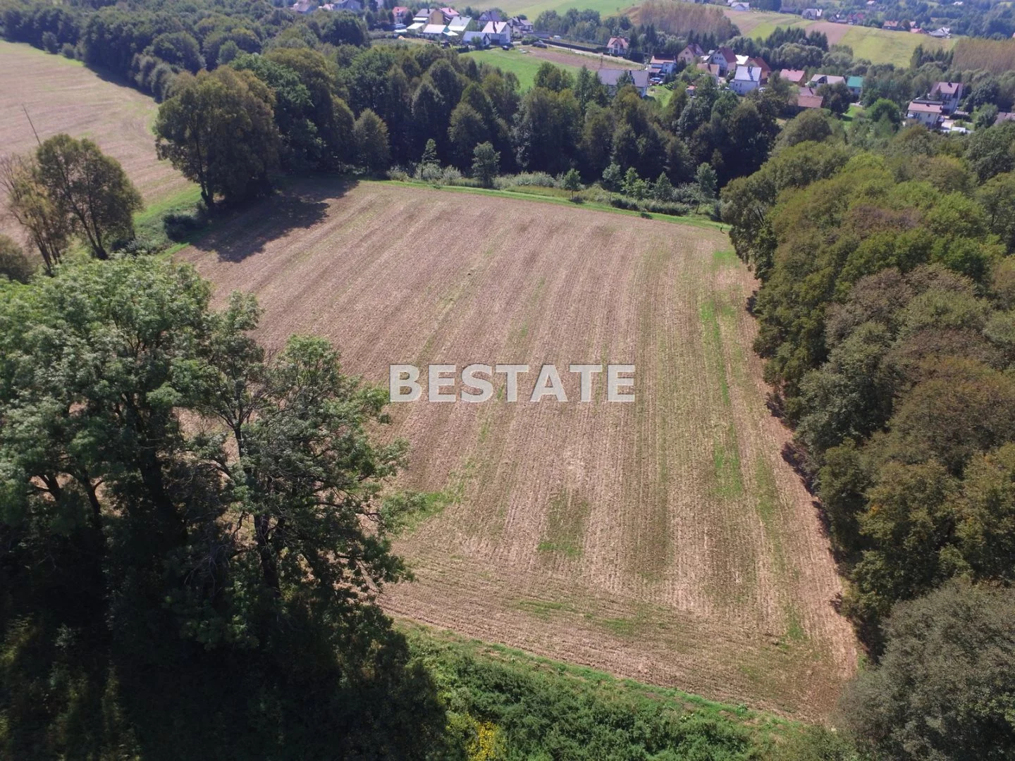BEST-GS-12488 - zdjęcie nr 5