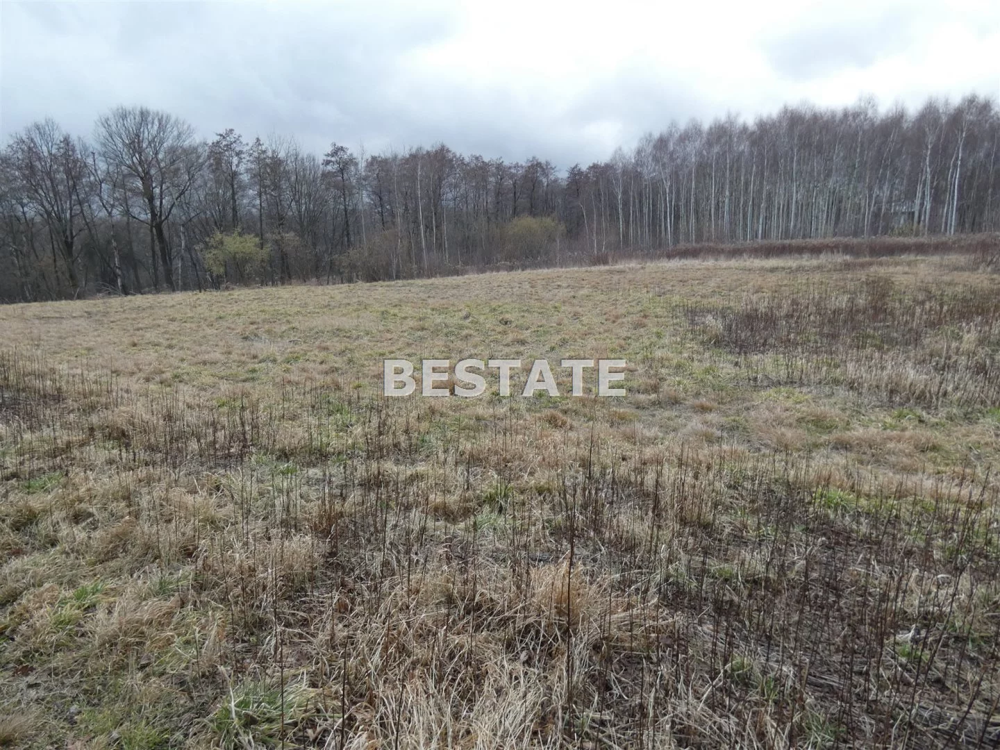 BEST-GS-12396 - zdjęcie nr 0